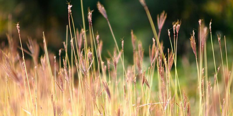 从战略到执行：企业管理层如何用设计思维重塑创新流程