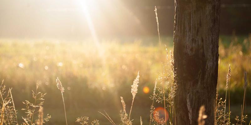 从生命周期理论看企业管理梯队建设:NYASCO模型如何破解继任者规划难题