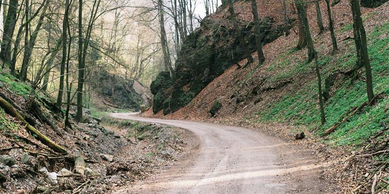 数据驱动未来:如何构建基于数据分析的企业管理决策支持系统