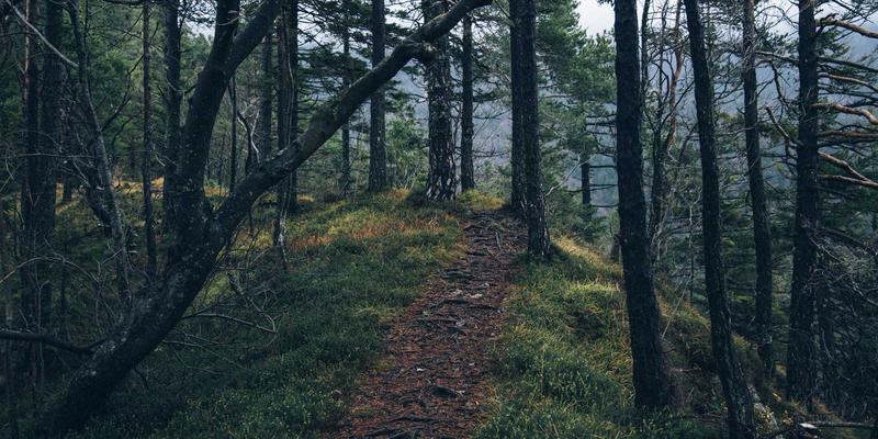 构建商业韧性:如何通过多源采购与智能库存模型抵御供应链风暴