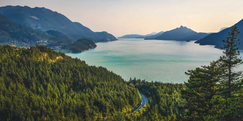 破局之道:识别企业管理变革的隐形阻力与系统性化解策略