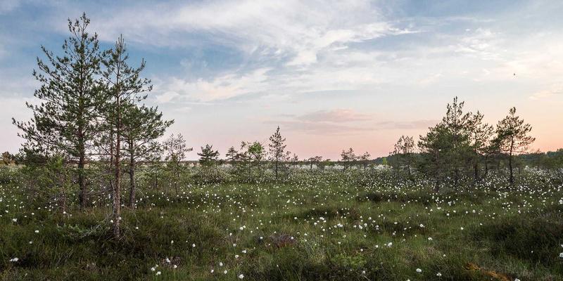 解锁组织隐形财富：如何通过专家网络与叙事管理，让领导力培训的价值倍增