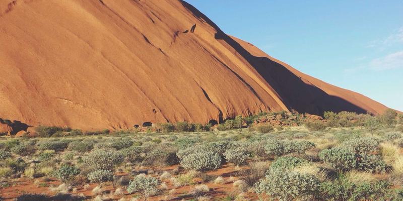 跨越文化鸿沟：NYASCO战略规划下的全球化企业管理沟通之道