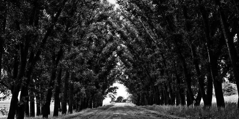 跨越文化鸿沟：NYASCO管理培训如何赋能企业全球化运营